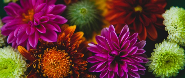 伊万科维奇上任国足一周年：年检合格 大考开始.